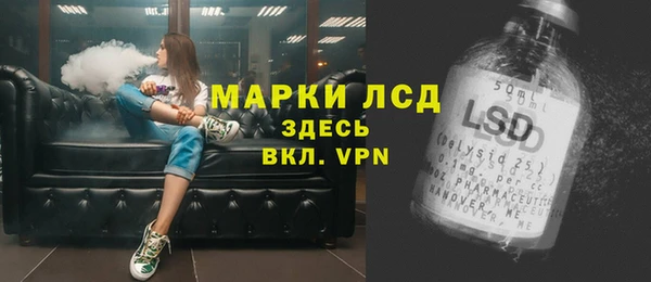 индика Белоозёрский