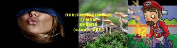 2c-b Белокуриха