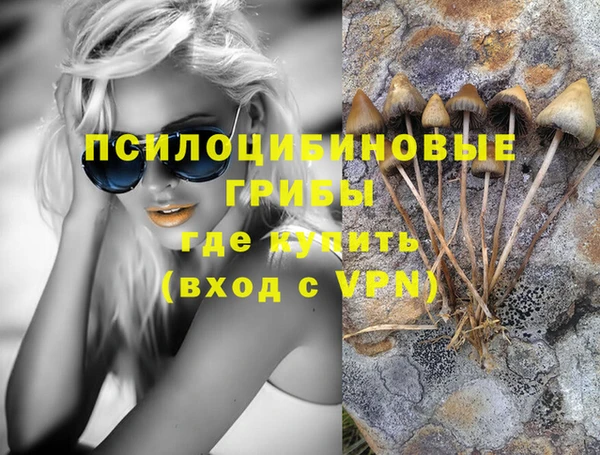 2c-b Белокуриха