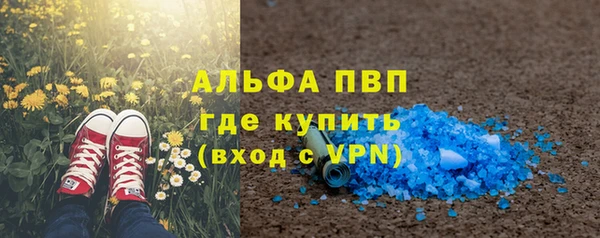 индика Белоозёрский