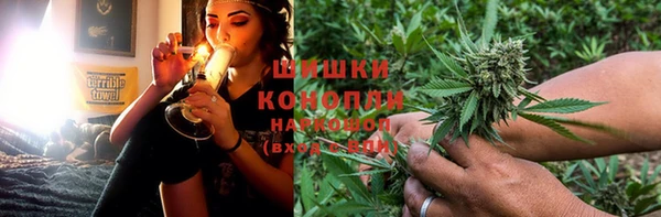 индика Белоозёрский