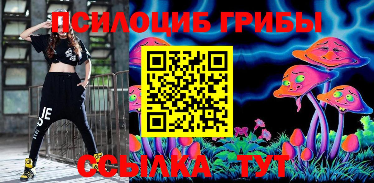 Псилоцибиновые грибы Psilocybine cubensis Буйнакск