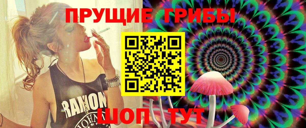 Псилоцибиновые грибы Magic Shrooms  Галлюциногенные грибы Cubensis  Вход с VPN  Буйнакск 